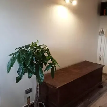 La Divina Pietra Carnola